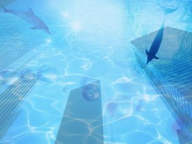 “中国第一懒人”杨锁:烧家具取暖,刨坑上厕所,23岁懒死家中_掉发严重是什么原因