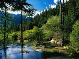 冬季头发干枯毛躁怎么办?教你四个有效解决办法_头发干燥怎么办