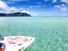 唯有善待自己的女人,才值得被岁月温柔以待。_头发干枯毛躁怎么办