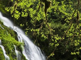 30厘米的茄子塞进身体取不出来,没有办法才去医院,差点酿成大祸_头发白是什么原因
