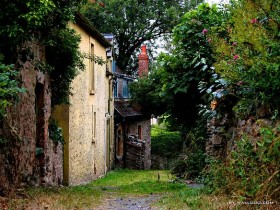 脱发是一种怎样的感受?_防止脱发