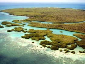 秋季脱发严重怎么办,来和我一起告别脱发烦恼,还你一头乌黑秀发_油脂性脱发怎么办