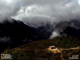 39岁女子,突发肾衰竭,尿酸高,少喝2种水,4种食物尽量少吃_中医治疗脱发