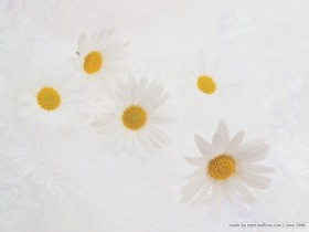 睡觉经常把手机放床头边,辐射会影响身体吗?答案或许让你意外_霸王防脱