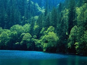 薛之谦近照发福、严重脱发?粉丝:花姐厨艺太好,别再熬夜写歌!_脂溢性脱发怎么办