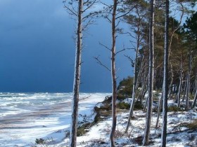 脱发长寿算什么,冻龄女神23年芳容依旧才是今年最惊人发现_油脂性脱发