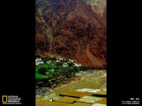 不怪我,谁让你长这么矮_脱发治疗