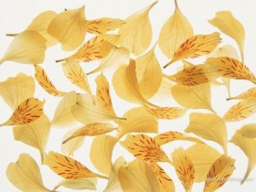 为什么城市的宝妈们,不希望儿子找农村姑娘?宝妈:真不是瞧不起_保养头发的方法