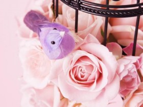 提醒:这几种菜都是宝,很多人不知扔了多少次了,还不赶紧认识下_启悦