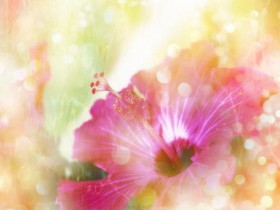 头发一把一把的掉,可能是体内缺这三种营养素,建议平时及时补充_接头发多少钱