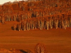 这些发型“真好看”,明星剪了也完蛋!_头发少适合什么发型