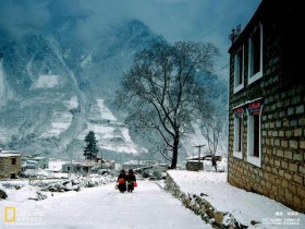 被迫绝育,只为更好的让她陪睡,26岁留下50多封遗书,终自杀身亡_头发掉得厉害怎么办