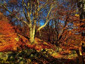 鞋子穿久,有“脚臭味”?教你一招,不用水洗,“异味”去无踪_防脱发的食物