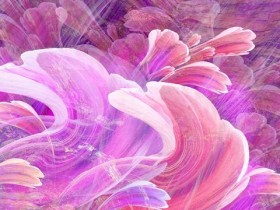 杨丽娟为见刘德华,逼父亲卖房、卖肾终无奈自杀,13年来她后悔吗_头发怎么长得浓密