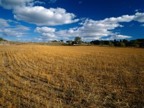 警方提醒-新骗局又来了!所有人都要冷静,不然会倾家荡产_脱发能治好吗
