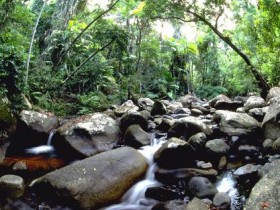 头发油了好多年?只是你没找对控油方法!_接头发