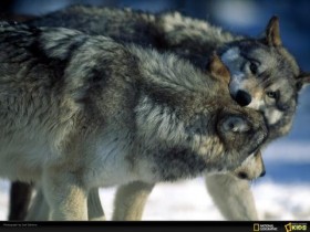 “女怕午时生,男怕子夜临”,生产时间也有忌讳?还要看生产条件_防脱发食疗