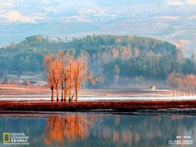 熬夜真的会导致脱发?_脱发论坛