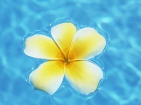 8年前,家暴丈夫把妻子打住院18次,杀妻后,将其分成9块腌成腊肉_为什么掉头发