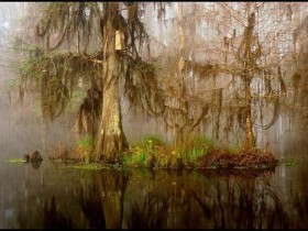 脱发年龄上的严重错位,成了我们最大的烦恼_防脱发洗发水