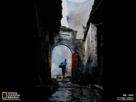 经常吃这样的鸡蛋竟容易脱发!你还敢吃吗?_经常掉头发是什么原因