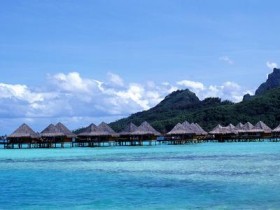 11岁女孩的一篇作文,让人流泪!网友:多让人暖心的孩子_怎么防止脱发