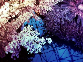 脱发严重影响了正常生活_油脂性脱发