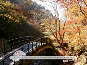 脱发“秃”如其来,中医给你支妙招!_武汉治疗脱发的医院