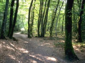 我国的第一个“换头”手术,花费7000万,4年过后情况怎样了?_掉头发吃什么好