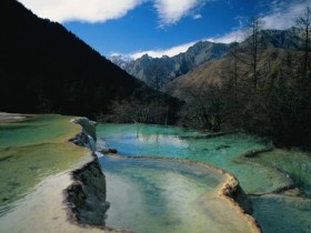 我的天!防脱发还有这么些奇葩招数?_防脱发的洗发水