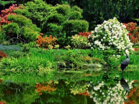 为什么在沙漠里,死后的骆驼不能碰?你可能还不知道_为什么会掉头发