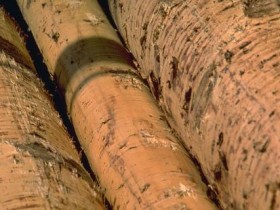 生活中5种杀精的传言到底是真是假?_治疗头发