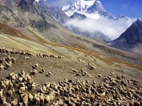 20岁女孩遇害,警方找不到尸体,清洁工:她在垃圾桶,有2000多片_头发白了怎么办