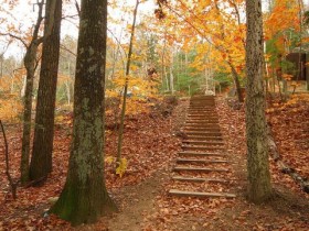 祛湿最厉害的不是薏米,教你一个小妙方,湿气一天天排出身体_簇状秃发症
