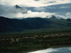 春捂秋冻,不生杂病_头发出油怎么办