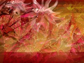 脱发的“元凶”找到了,不是虚,而是3个常被忽视的原因_脱发补发