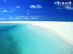 为什么脱发后别人能够生发成功,你却不行?_肾虚型脱发