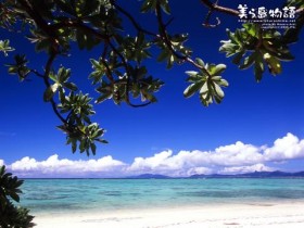 生姜害得我们那么惨!_生姜治疗脱发小窍门